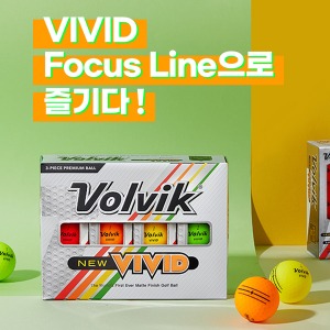 [볼빅/정품] VOLVIK 비비드 포커스 라인(VIVID FOUCS LINE) 골프공 골프볼 컬러볼 [3피스/12알/혼합컬러]